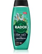 Radox Feel Invigorated Gel de duș pentru bărbați 2 in 1 450 ml