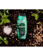 Radox Feel Invigorated Gel de duș pentru bărbați 2 in 1 450 ml
