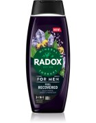 Radox Feel Recovered Gel de duș pentru bărbați 2 in 1 450 ml