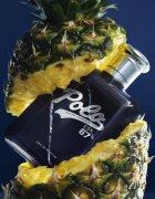 Ralph Lauren Polo 67 Eau de Parfum pentru bărbați 125 ml