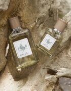 Ralph Lauren Polo Earth Antilles Vetiver Eau de Toilette unisex 40 ml