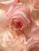 Ralph Lauren Romance Eau de Parfum pentru femei 30 ml