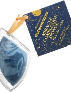 Real Techniques Holiday Miracle Complexion Sponge & Travel Case burete pentru machiaj + husă