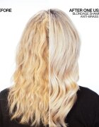 Redken Color Extend Blondage masca neutralizeaza tonurile de galben 250 ml