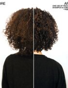 Redken Frizz Dismiss șampon pentru par indisciplinat 300 ml