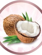 Remington Coconut Smooth S5901 placa de intins parul 1 buc