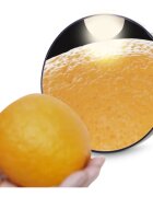RIO 10x Magnifying Mirror oglinda cosmetica cu ventuze 1 buc