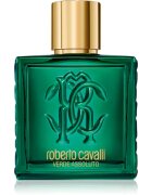 Roberto Cavalli Uomo Verde Assoluto Eau de Parfum pentru bărbați 100 ml