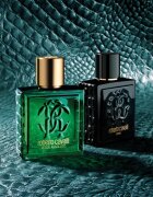 Roberto Cavalli Uomo Verde Assoluto Eau de Parfum pentru bărbați 100 ml