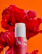 Roger & Gallet Gingembre Rouge Wellbeing Solid Fragrance parfum compact pentru femei 5 g