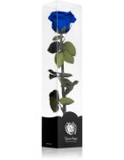 RoseAmor Blue trandafir stabilizat pe tulpină 1 buc