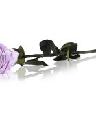 RoseAmor Lila trandafir stabilizat pe tulpină 30 cm 1 buc