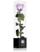 RoseAmor Lila trandafir stabilizat pe tulpină 30 cm 1 buc