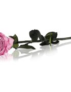 RoseAmor Pink trandafir stabilizat pe tulpină 30 cm 1 buc