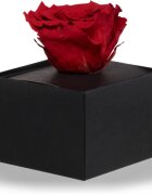 RoseAmor Red trandafir stabilizat în cutie 1 buc