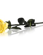 RoseAmor Yellow trandafir stabilizat pe tulpină 30 cm 1 buc