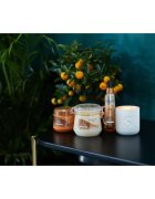 Sanctuary Spa Signature Natural Oils unt de corp intens hidratant 300 ml