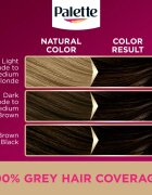Schwarzkopf Palette Deluxe Culoare permanenta pentru par culoare 3-0 Dark Brown 1 buc