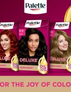 Schwarzkopf Palette Deluxe Culoare permanenta pentru par culoare 3-0 Dark Brown 1 buc