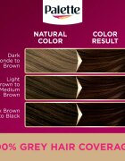 Schwarzkopf Palette Deluxe Culoare permanenta pentru par culoare 3-65 Chocolate Brown 1 buc