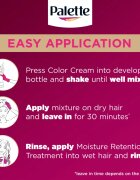 Schwarzkopf Palette Deluxe Culoare permanenta pentru par culoare 3-65 Chocolate Brown 1 buc