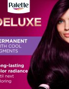 Schwarzkopf Palette Deluxe Culoare permanenta pentru par culoare 4-99 Aubergine 1 buc