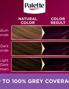 Schwarzkopf Palette Deluxe Culoare permanenta pentru par culoare 4-99 Aubergine 1 buc