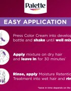 Schwarzkopf Palette Deluxe Culoare permanenta pentru par culoare 4-99 Aubergine 1 buc
