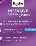 Schwarzkopf Palette Intensive Color Creme Culoare permanenta pentru par culoare (C9) 9.5-1 Silver Blond 1 buc