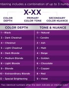 Schwarzkopf Palette Intensive Color Creme Culoare permanenta pentru par culoare (C9) 9.5-1 Silver Blond 1 buc