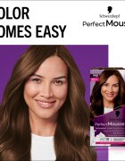 Schwarzkopf Perfect Mousse Culoare permanenta pentru par culoare 668 Hazelnut 1 buc