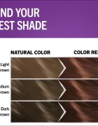 Schwarzkopf Perfect Mousse Culoare permanenta pentru par culoare 668 Hazelnut 1 buc