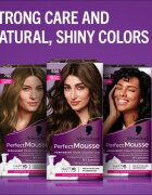 Schwarzkopf Perfect Mousse Culoare permanenta pentru par culoare 668 Hazelnut 1 buc