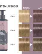 Schwarzkopf Professional Chroma ID Color Mask mască intens colorantă pentru păr culoare 8-19 Frosted Lavender 300 ml