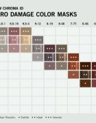 Schwarzkopf Professional Chroma ID Color Mask mască intens colorantă pentru păr culoare 8-19 Frosted Lavender 300 ml