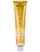 Schwarzkopf Professional IGORA Royal Absolutes Age Blend culoare par culoare 8-140 Light Blonde Cendré Beige Natural 60 ml