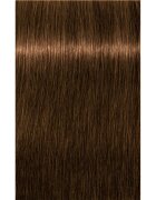 Schwarzkopf Professional IGORA Royal Absolutes culoare par culoare 6-50 60 ml