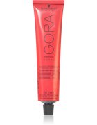 Schwarzkopf Professional IGORA Royal culoare par culoare 6-31 Light Brown 60 ml