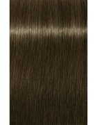 Schwarzkopf Professional IGORA Royal culoare par culoare 6-31 Light Brown 60 ml