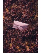 Scottish Fine Soaps Wild Heather săpun solid pentru curățare 220 g