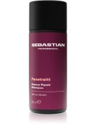 Sebastian Professional Penetraitt șampon pentru par degradat sau tratat chimic 50 ml