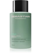 Sebastian Professional Volupt șampon pentru păr cu volum 280 ml