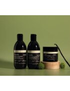 Sendo Frizz Contol Taming Hair Conditioner balsam cu efect de netezire pentru par indisciplinat 250 ml