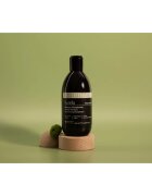 Sendo Frizz Contol Taming Shampoo sampon pentru indreptarea parului pentru par indisciplinat 250 ml