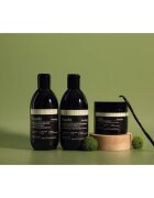 Sendo Frizz Contol Taming Shampoo sampon pentru indreptarea parului pentru par indisciplinat 250 ml