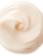 Shiseido Benefiance NutriPerfect Day Cream crema de zi de intinerire SPF 15 50 ml
