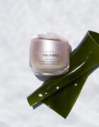 Shiseido Benefiance Wrinkle Smoothing Cream crema anti rid de zi si de noapte pentru toate tipurile de ten 50 ml