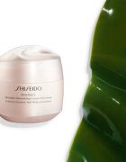 Shiseido Benefiance Wrinkle Smoothing Cream Enriched crema anti rid de zi si de noapte pentru tenul uscat 75 ml