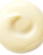 Shiseido Benefiance Wrinkle Smoothing Day Cream crema de zi anti-rid SPF 25 50 ml