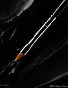 Sigma Beauty Eyes E06 WINGED LINER™ BRUSH pensula pentru eyeliner 1 buc